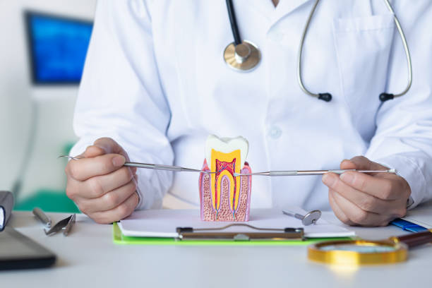 Best Tooth Infection Emergency Dentist  in Flemingsburg, KY